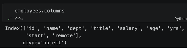 python code and output showing data.columns index with column headings stored as object dtype